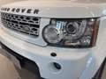 Land Rover Discovery Discovery 4 3.0 SDV6 245CV SE Bianco - thumbnail 20