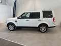 Land Rover Discovery Discovery 4 3.0 SDV6 245CV SE Bianco - thumbnail 7