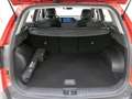 Kia Sportage 1.6 T-GDi HEV 158kW (215CV) Drive 4x2 Rojo - thumbnail 20