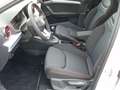 SEAT Ibiza FR Pro Black Edition 1,0 TSI NAVI/LED/TEL Weiß - thumbnail 14