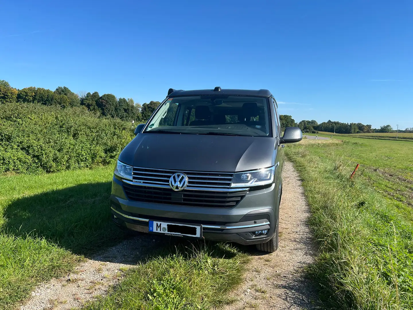 Volkswagen T6 California California 4MOTION Ocean Grau - 1