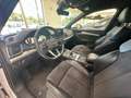 Audi Q5 Q5 II 2017 35 2.0 tdi quattro 163cv s-tronic Bianco - thumbnail 12