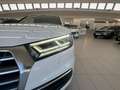 Audi Q5 Q5 II 2017 35 2.0 tdi quattro 163cv s-tronic Bianco - thumbnail 7