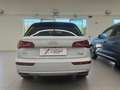 Audi Q5 Q5 II 2017 35 2.0 tdi quattro 163cv s-tronic Bianco - thumbnail 6