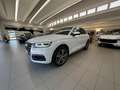 Audi Q5 Q5 II 2017 35 2.0 tdi quattro 163cv s-tronic Bianco - thumbnail 4