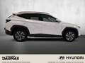 Hyundai TUCSON TUCSON Hybrid Trend 4WD Klimaut. Navi Krell White - thumbnail 5