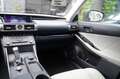 Lexus IS 300 300h Hybrid|Prijs incl. 12 mnd garantie| Automaat Grau - thumbnail 27