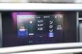 Lexus IS 300 300h Hybrid|Prijs incl. 12 mnd garantie| Automaat Grau - thumbnail 45