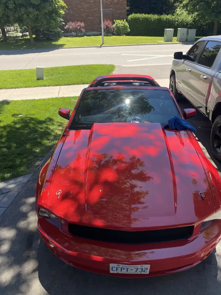 Ford Mustang снимка Ford Mustang