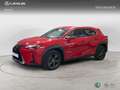 Lexus UX 200 SUV BUSINESS 2.0 Híbrido Gasolina Transmisión Au Rouge - thumbnail 2