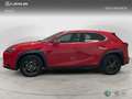 Lexus UX 200 SUV BUSINESS 2.0 Híbrido Gasolina Transmisión Au Rouge - thumbnail 3
