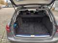 Mercedes-Benz C 220 C -Klasse T-Modell C 220 T d Avantgarde Gris - thumbnail 6
