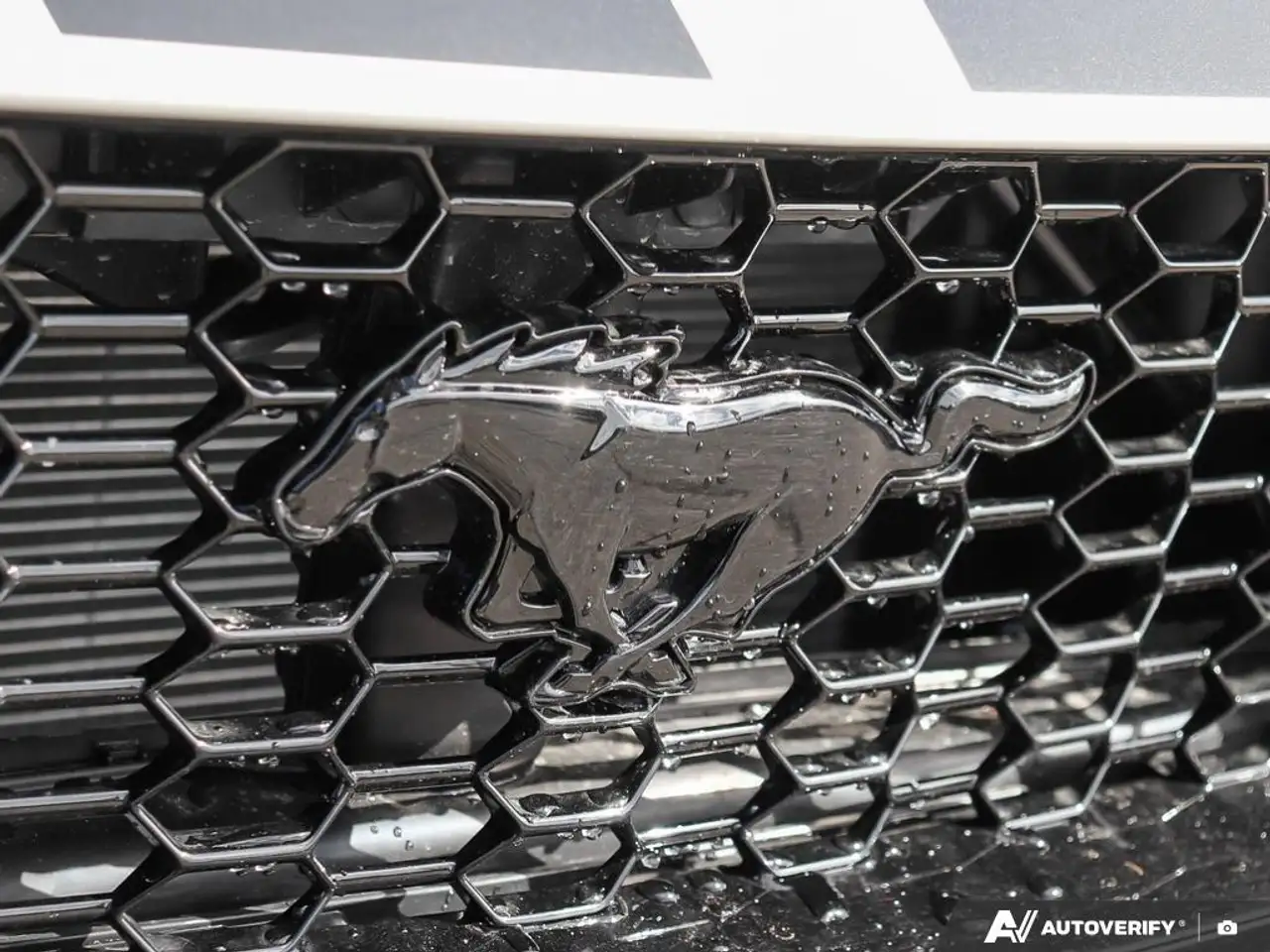 Ford Mustang снимка Ford Mustang