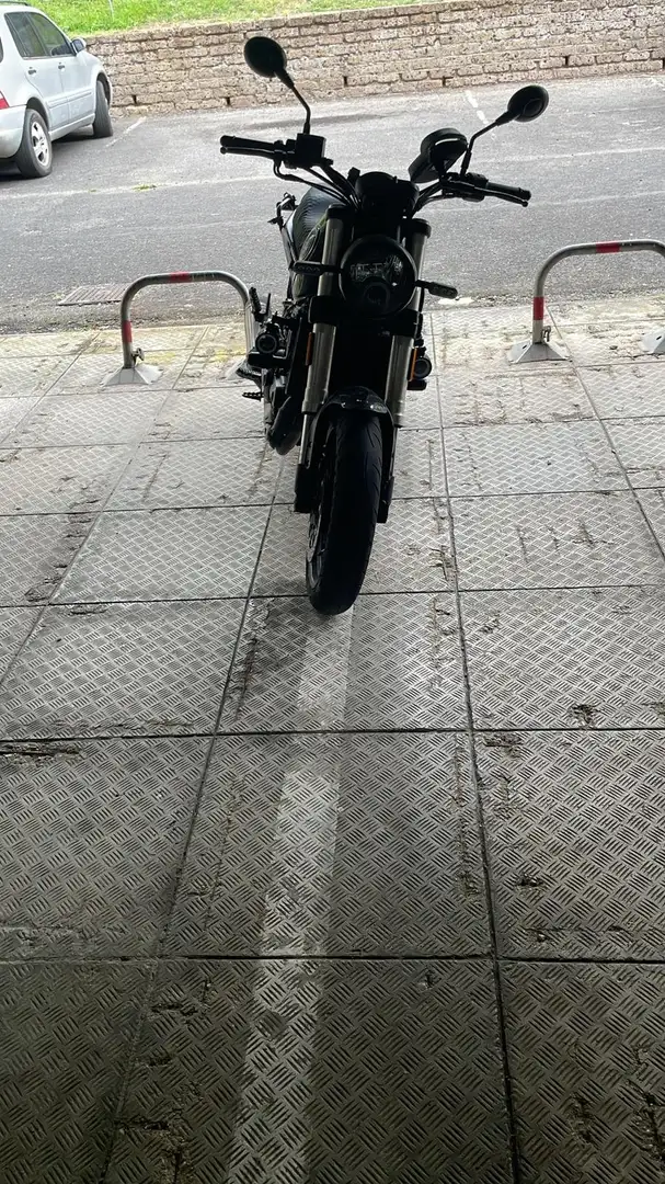 Benelli Leoncino 500, stradale - 1