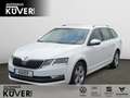 Skoda Octavia Combi 1.6 TDI DSG Style Navi+ACC+AHK+PDC Alb - thumbnail 1