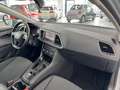 SEAT Leon ST 1.6 TDI 85kW DSG7 SS Style Edition Gris - thumbnail 10