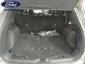 Ford Kuga nuevo st-line x 1.5 ecoboost 110kw (150cv) euro 6. Argent - thumbnail 14