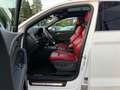 Audi SQ5 3.0 TFSI quattro/Pano/R-Kam/Memory Blanc - thumbnail 14