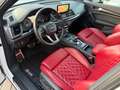 Audi SQ5 3.0 TFSI quattro/Pano/R-Kam/Memory Blanc - thumbnail 13