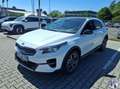Kia XCeed Platinum Edition*Plug-in*Pano*LED*Navi*JBL Weiß - thumbnail 1