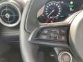 Alfa Romeo Tonale Sprint 1.5 T4 48V MHEV VGT DCT Grau - thumbnail 12