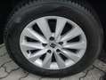 SEAT Ateca 1.0 TSI Reference, Parksensoren hinten, LED-Sch... Schwarz - thumbnail 6