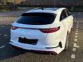 Kia ProCeed / pro_cee'd ProCeed 1.6 T-GDI DCT7 OPF GT Alb - thumbnail 3