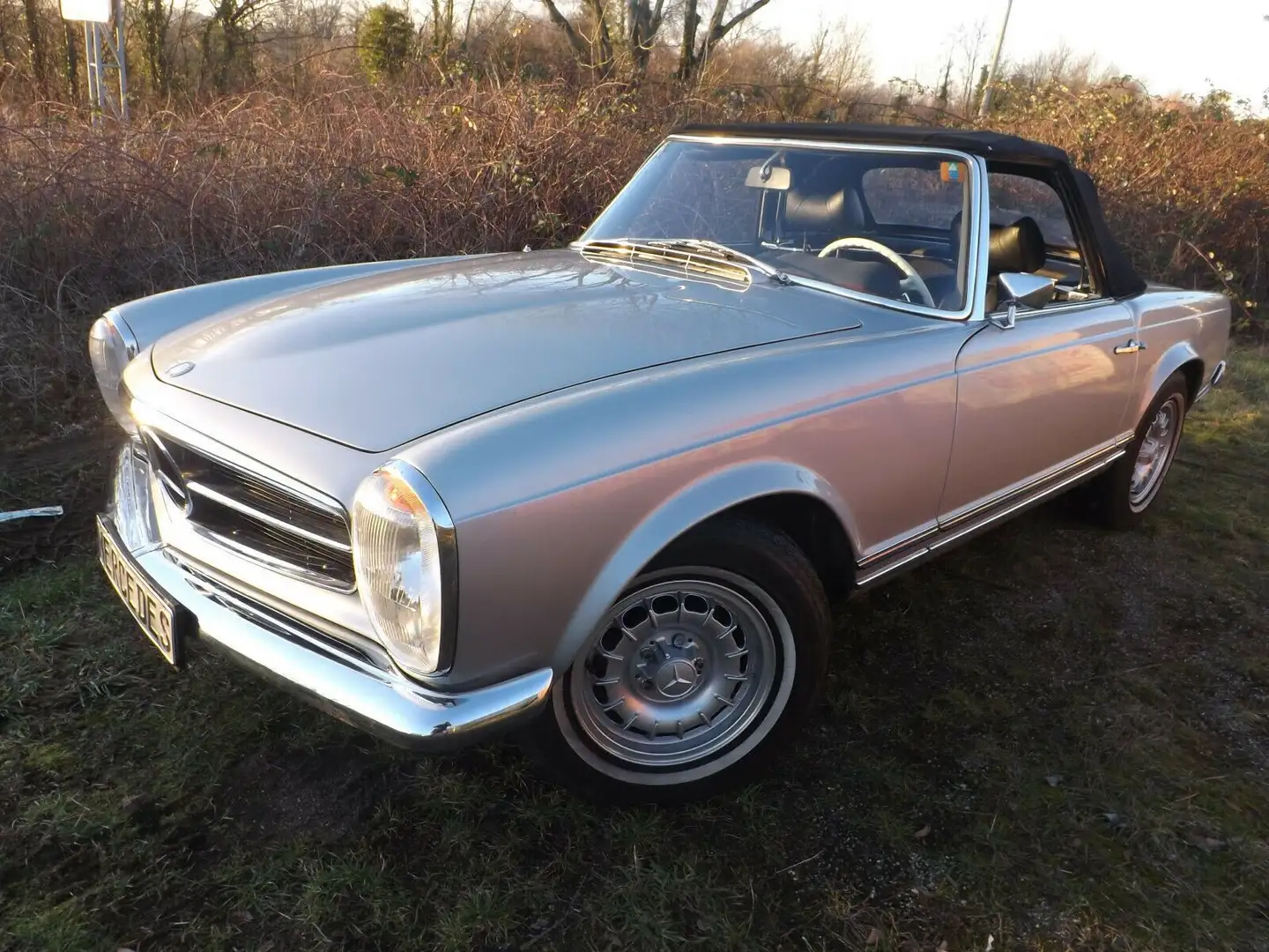 Mercedes-Benz 280 SL/8 -  Pagode par excellence Silber - 1