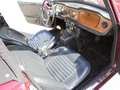 Triumph TR6 PI OVERDRIVE Gold - thumbnail 23