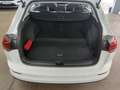 Volkswagen Golf Variant Golf VIII Variant 1.0 TSI Comfortline Navi LED D White - thumbnail 10