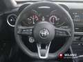 Alfa Romeo Stelvio 2.2 Turbodiesel 190 CV AT8 Q4 Business Bleu - thumbnail 14