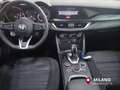 Alfa Romeo Stelvio 2.2 Turbodiesel 190 CV AT8 Q4 Business Bleu - thumbnail 11