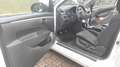 Suzuki Swift Swift 1,6 Sport Sport Weiß - thumbnail 22
