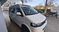 Volkswagen T5 Blanco - thumbnail 2