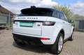 Land Rover Range Rover Evoque HSE Dynamic/Pano./Meridian Bianco - thumbnail 10