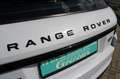 Land Rover Range Rover Evoque HSE Dynamic/Pano./Meridian Weiß - thumbnail 17
