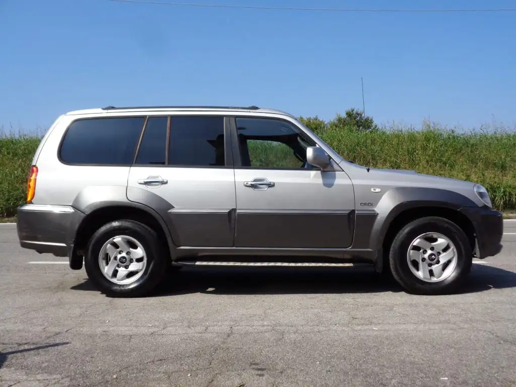 Hyundai Terracan 2003 из Европы — купить под ключ