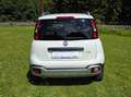 Fiat Panda Fiat Panda Cross Weiß - thumbnail 4