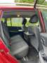 Renault Koleos Koleos 2.5 16V 4x2 Expression - thumbnail 20