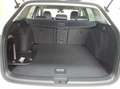 Volkswagen Golf Variant GOAL 1,5 l eTSI 85 kW (116 PS) DSG  N Weiß - thumbnail 7