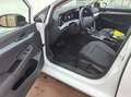 Volkswagen Golf Variant GOAL 1,5 l eTSI 85 kW (116 PS) DSG  N Weiß - thumbnail 4
