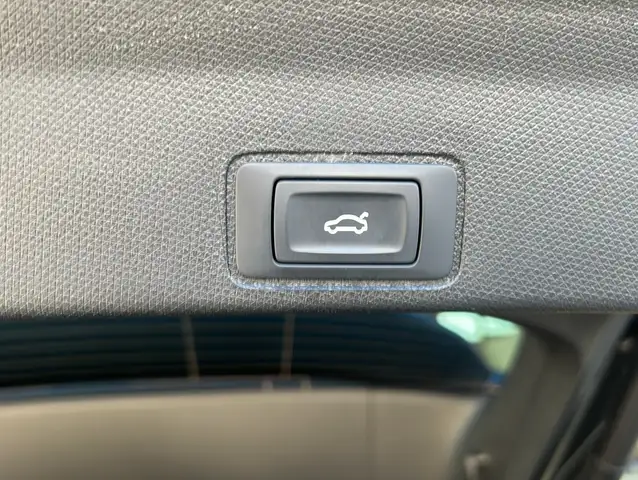 Cupra Terramar view 15