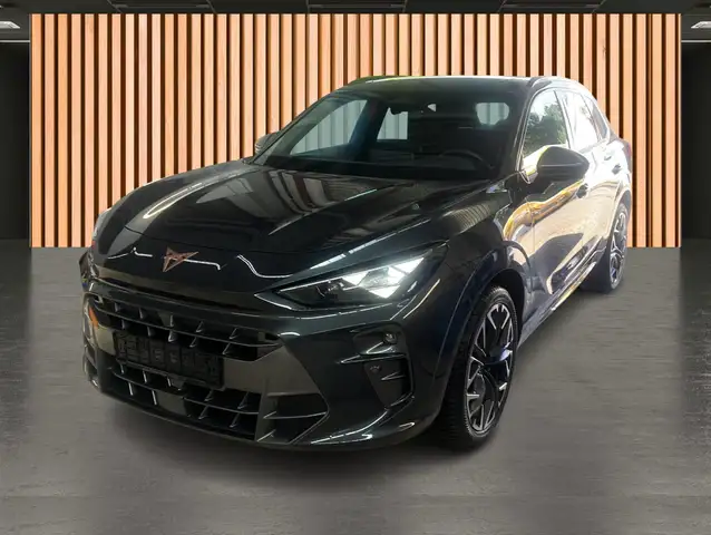 Cupra Terramar view 19