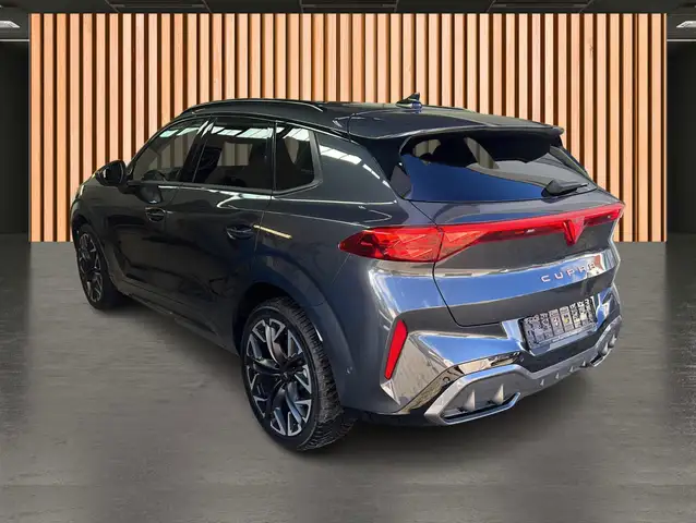 Cupra Terramar view 13