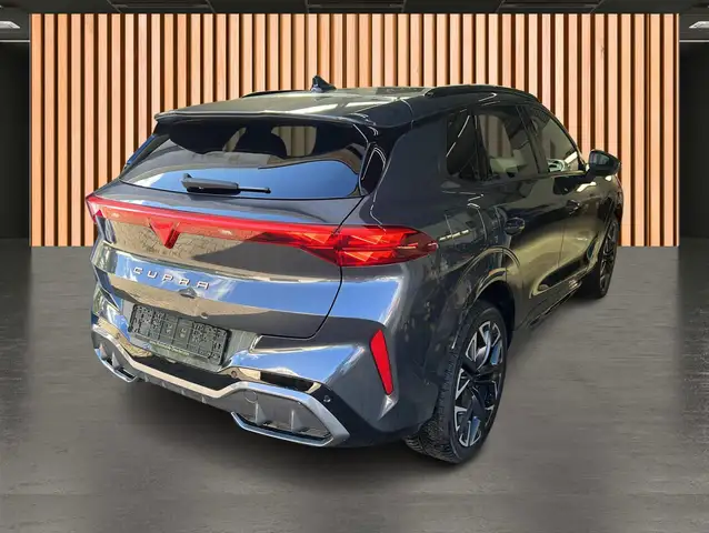Cupra Terramar view 16