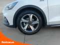 Ford Focus 1.0 Ecoboost Active 125 Bianco - thumbnail 12