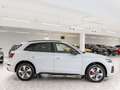 Audi Q5 S line 40 TDI quattro S tronic AHK OLED HUD Weiß - thumbnail 6