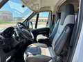 Fiat Ducato Fiat Weinsberg Carabus 600 K | 4 Couchages Blanc - thumbnail 8