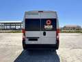 Fiat Ducato Fiat Weinsberg Carabus 600 K | 4 Couchages Blanc - thumbnail 5
