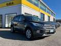 Ford Kuga Kuga 2.0 tdci Titanium AWD c.autom. Grau - thumbnail 4